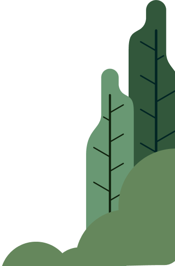 seervice section leaf image